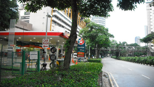 sg03.jpg
