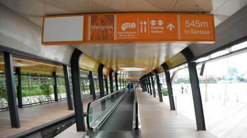 sg08.jpg